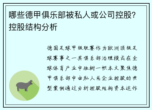 哪些德甲俱乐部被私人或公司控股？控股结构分析
