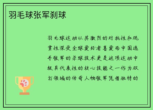 羽毛球张军刹球